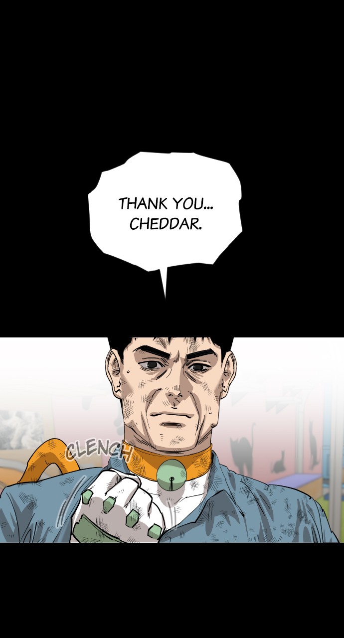 Read Meow Rangers Manga Online