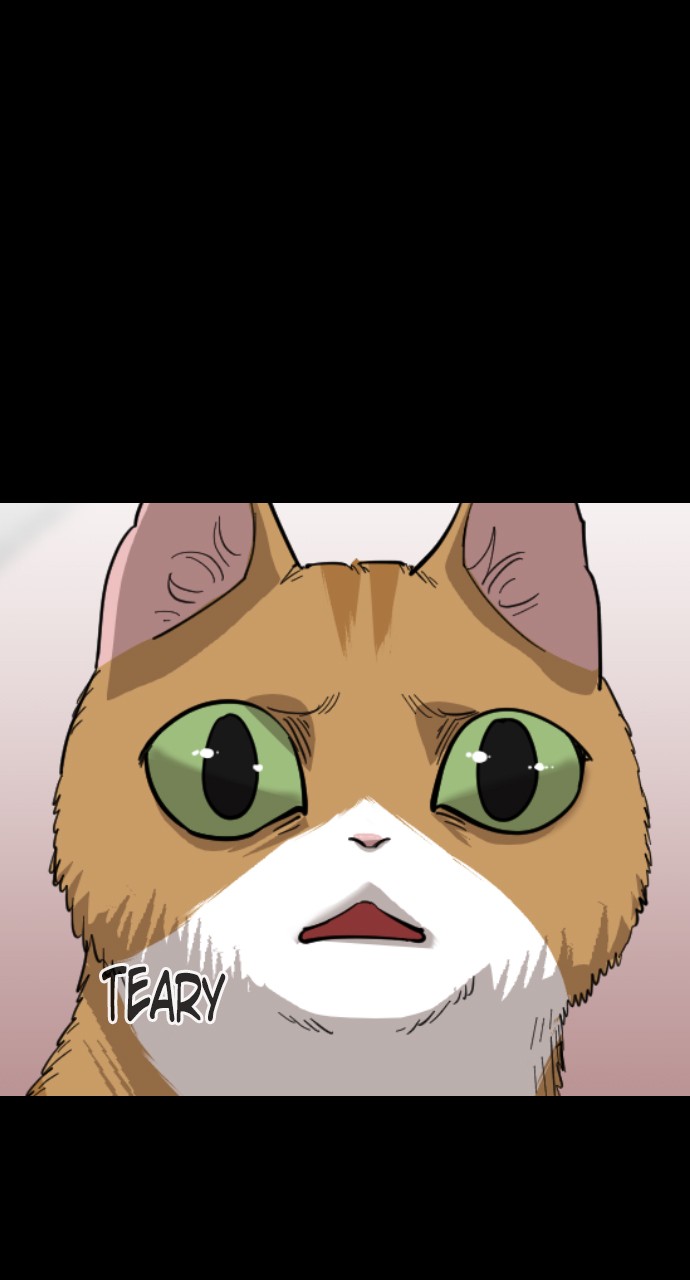 Read Meow Rangers Manga Online