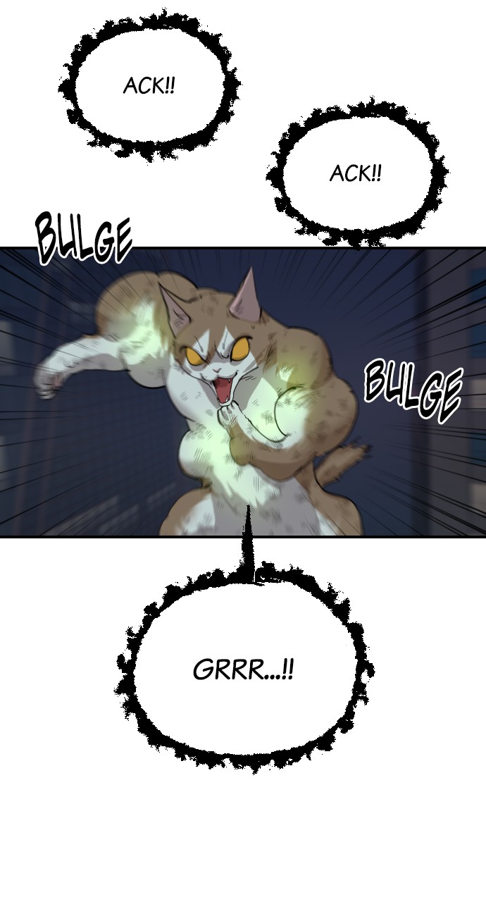 Read Meow Rangers Manga Online