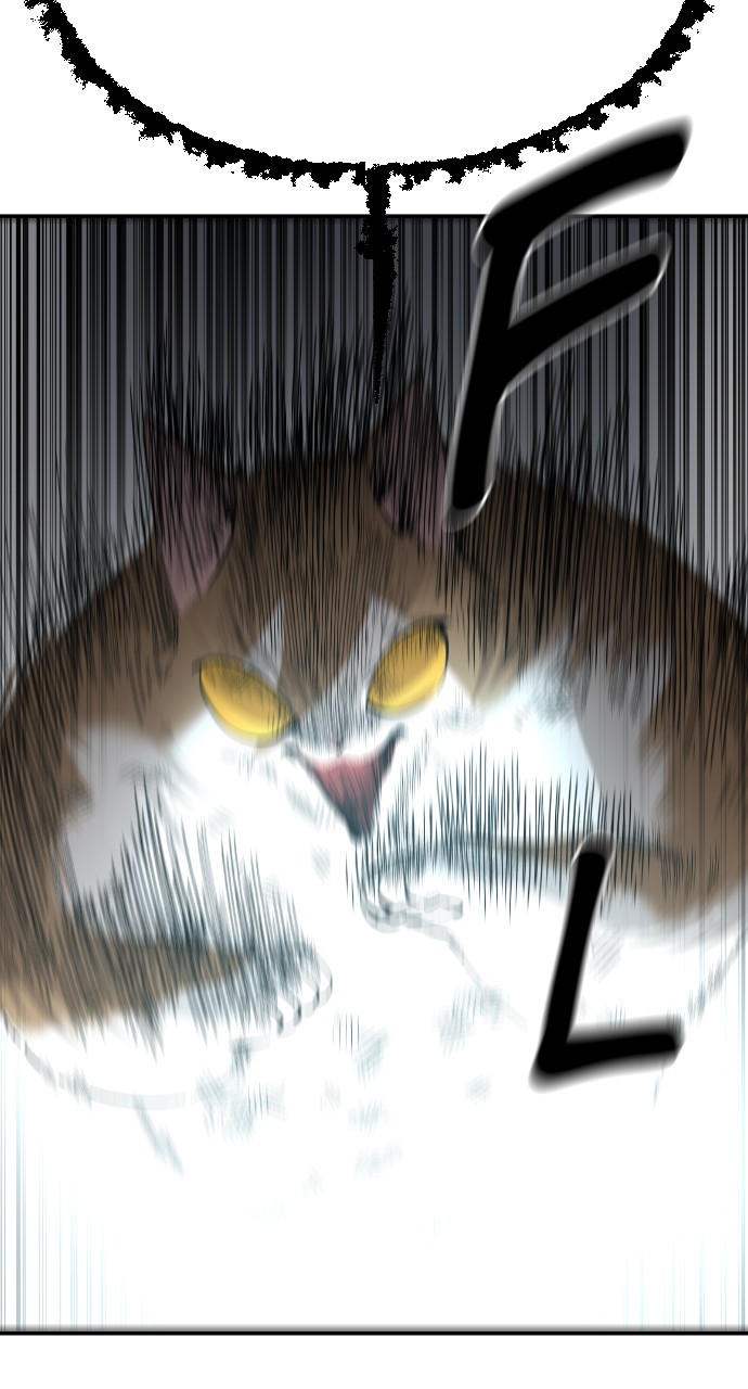 Read Meow Rangers Manga Online
