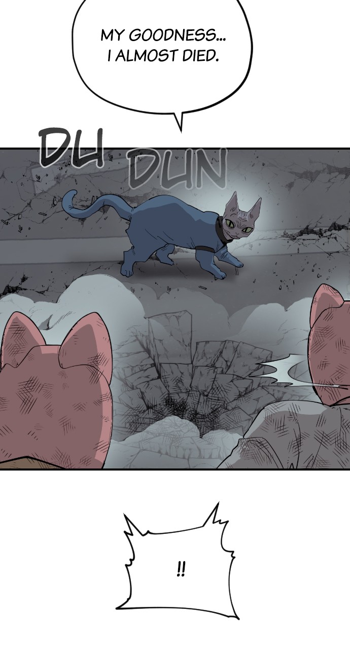 Read Meow Rangers Manga Online