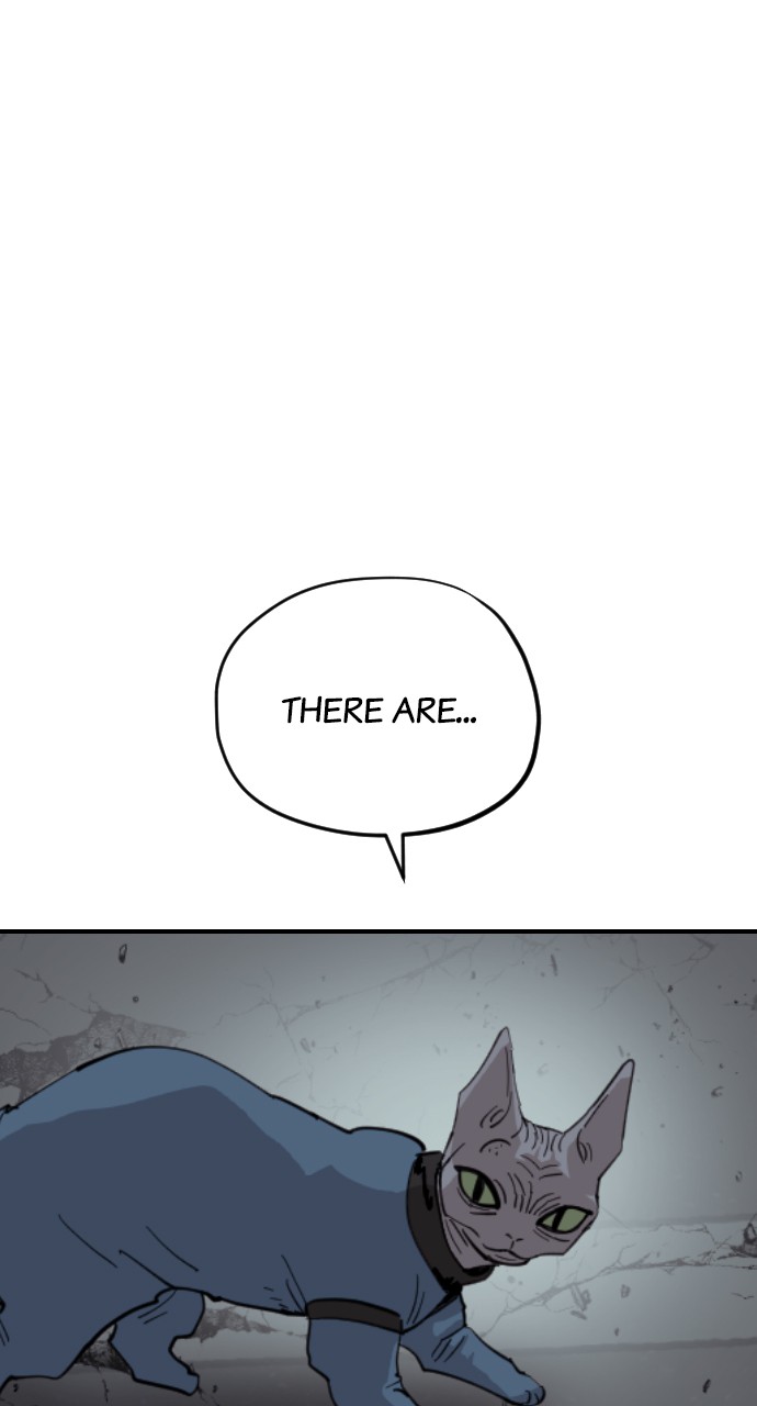 Read Meow Rangers Manga Online