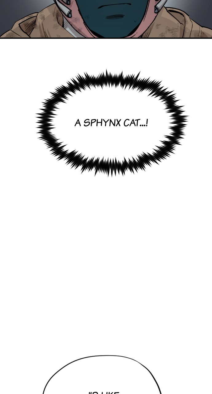 Read Meow Rangers Manga Online