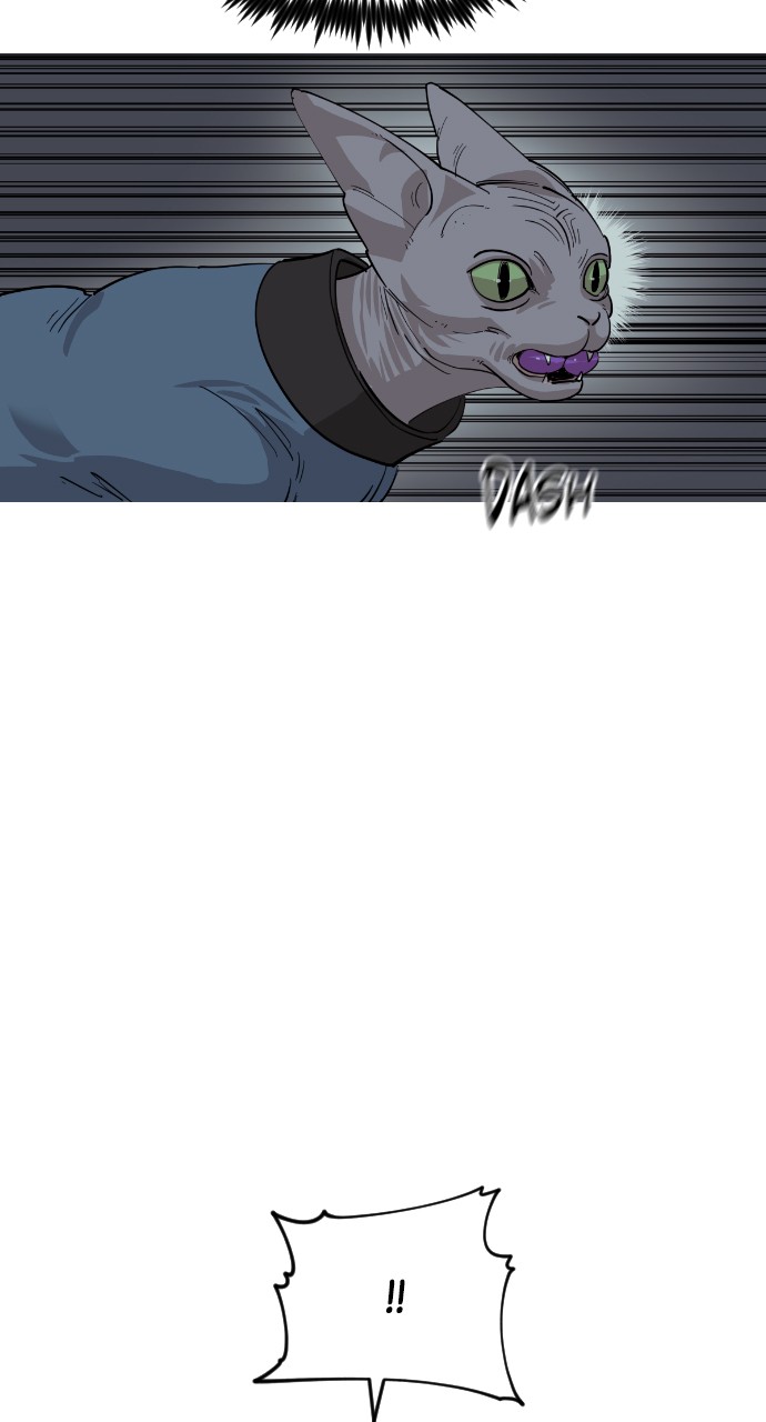 Read Meow Rangers Manga Online