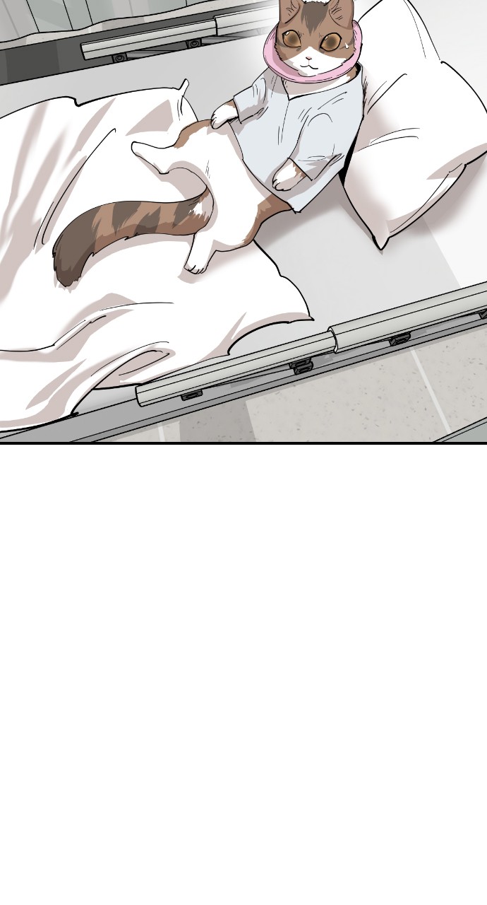 Read Meow Rangers Manga Online
