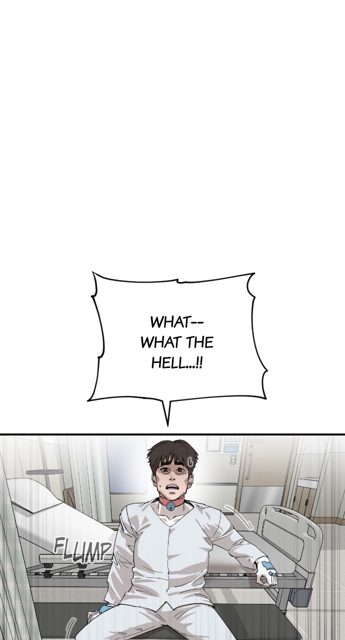 Read Meow Rangers Manga Online