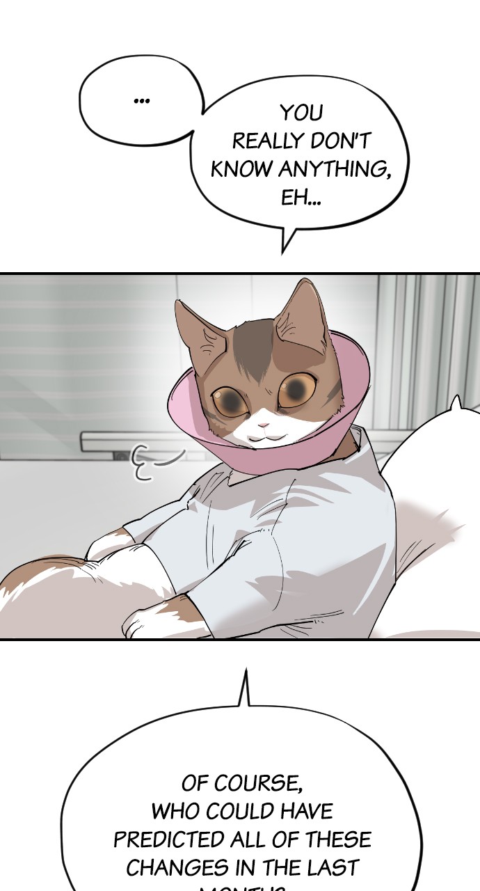 Read Meow Rangers Manga Online