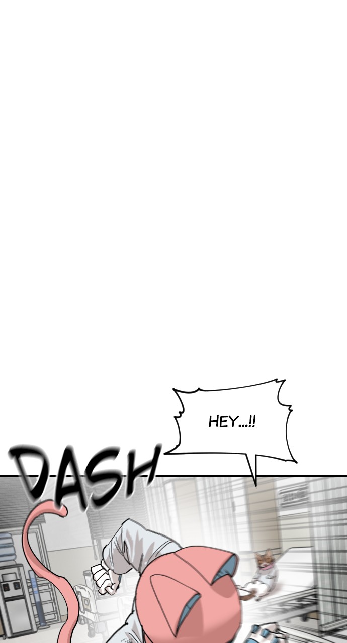 Read Meow Rangers Manga Online