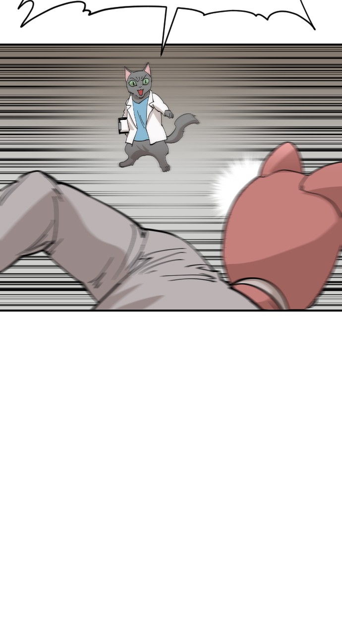 Read Meow Rangers Manga Online