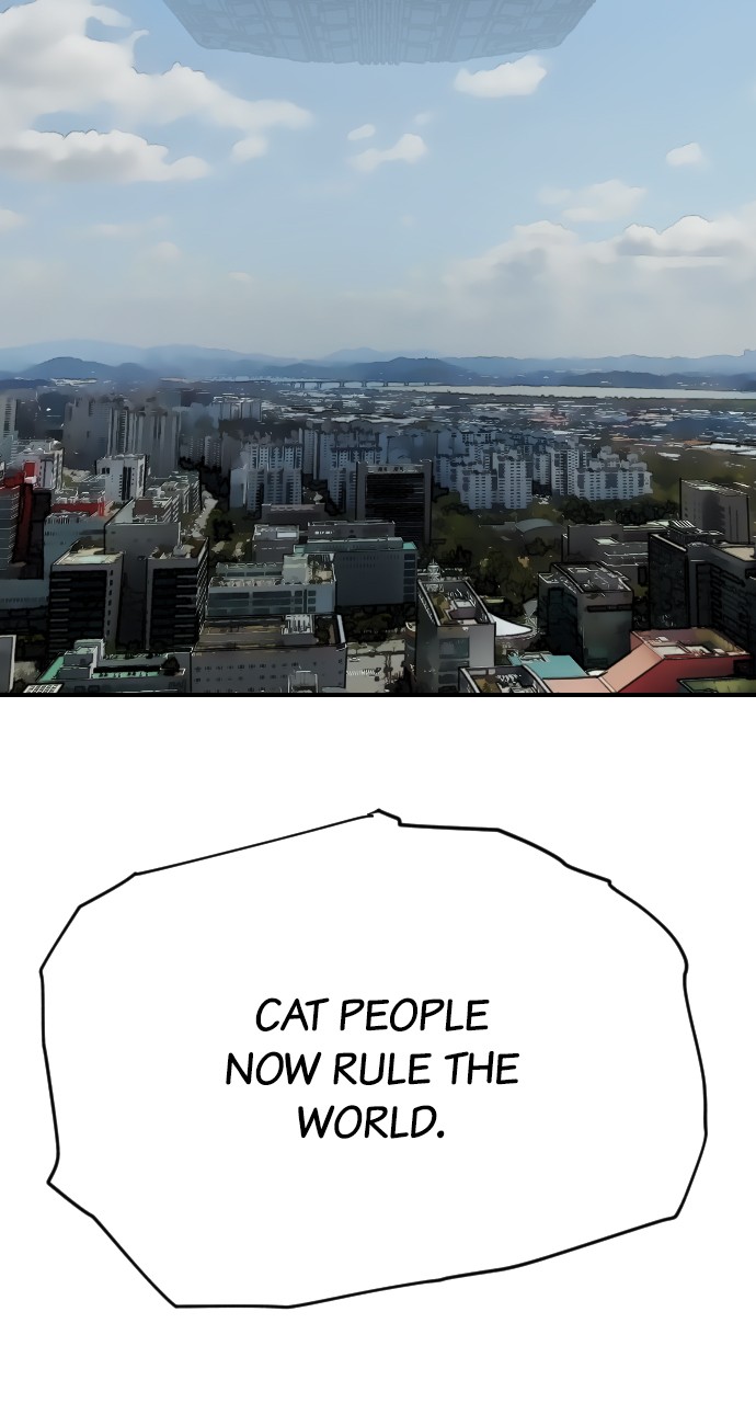 Read Meow Rangers Manga Online