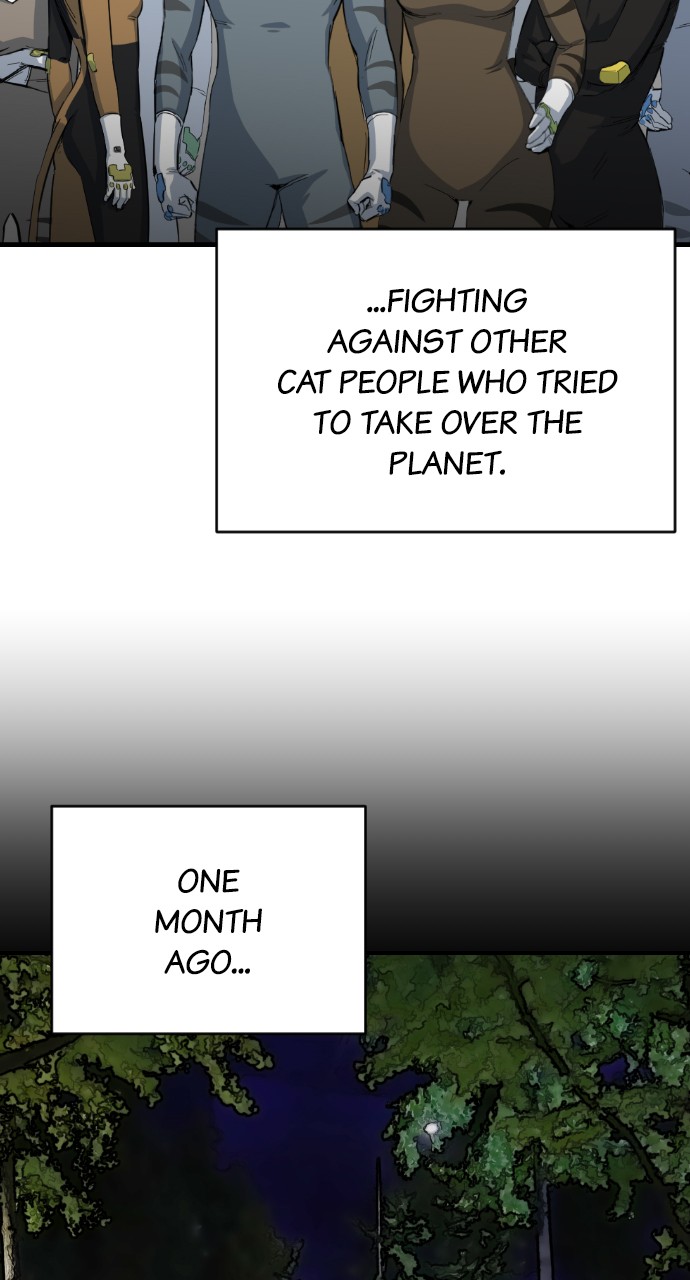 Read Meow Rangers Manga Online