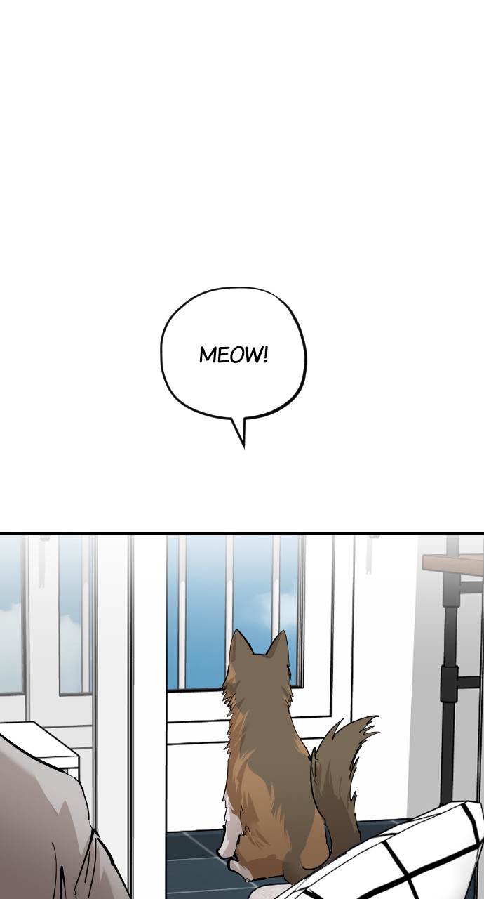 Read Meow Rangers Manga Online
