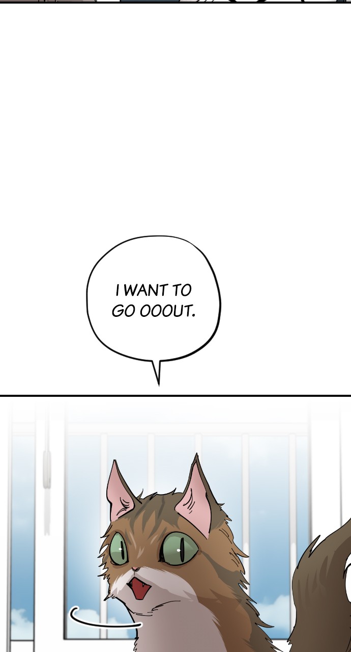 Read Meow Rangers Manga Online