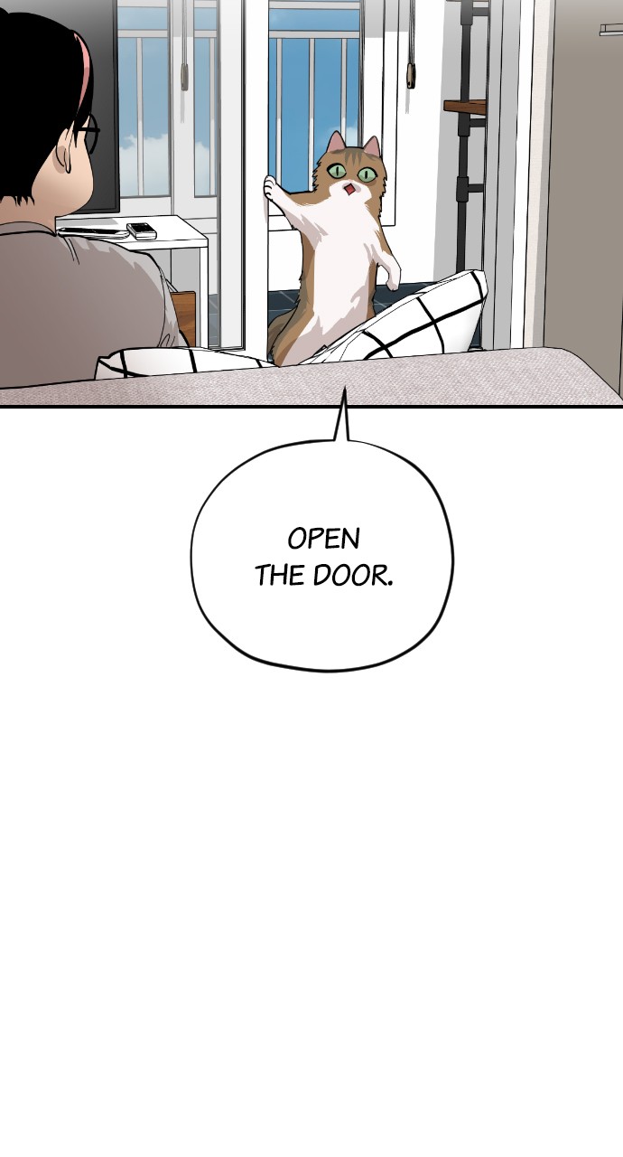 Read Meow Rangers Manga Online
