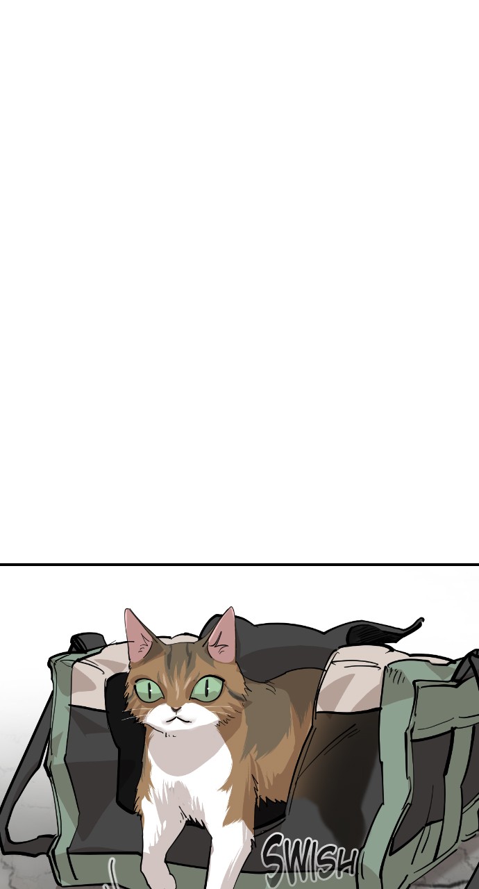 Read Meow Rangers Manga Online
