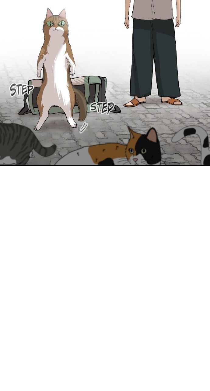 Read Meow Rangers Manga Online