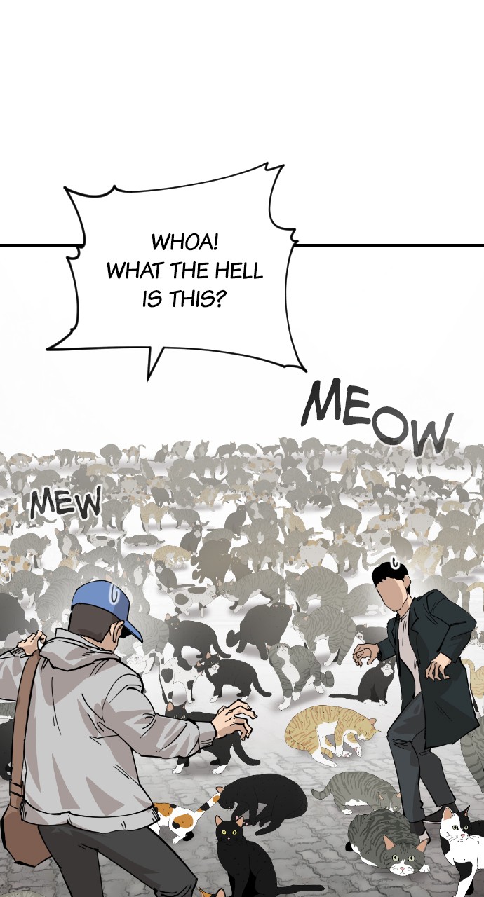 Read Meow Rangers Manga Online