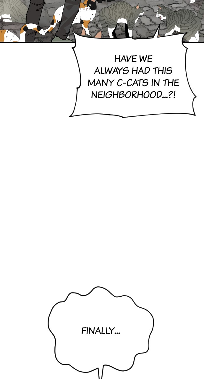 Read Meow Rangers Manga Online