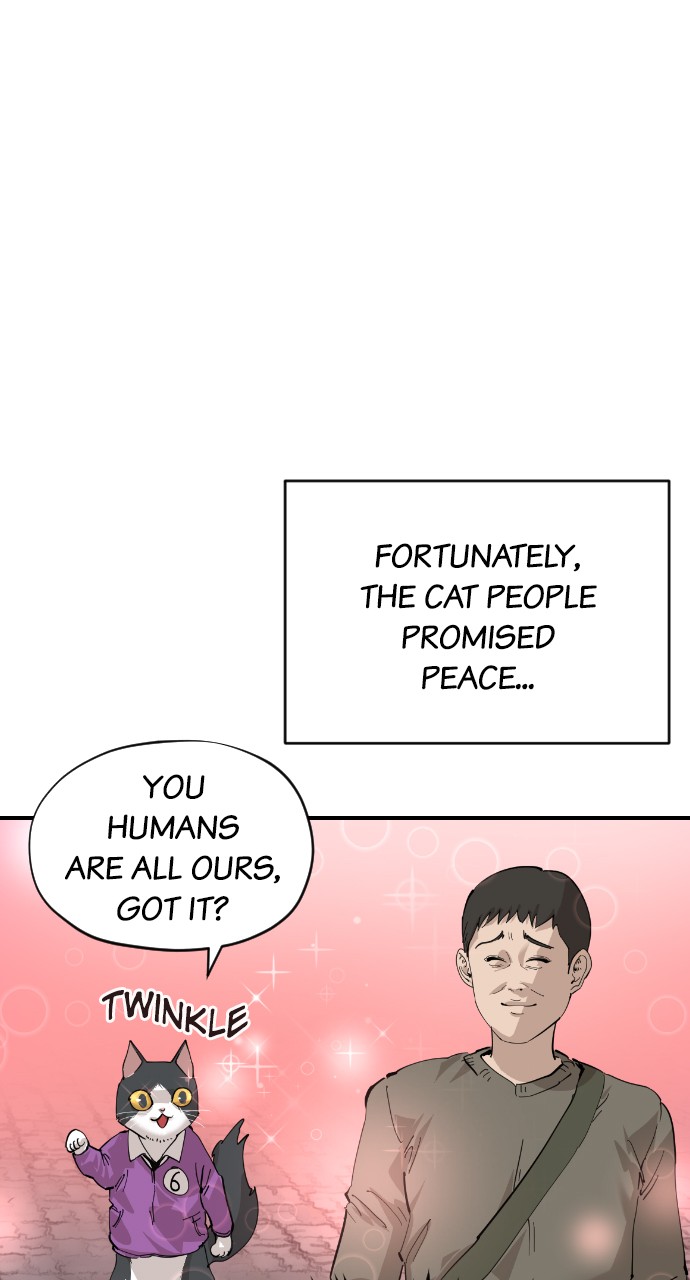 Read Meow Rangers Manga Online