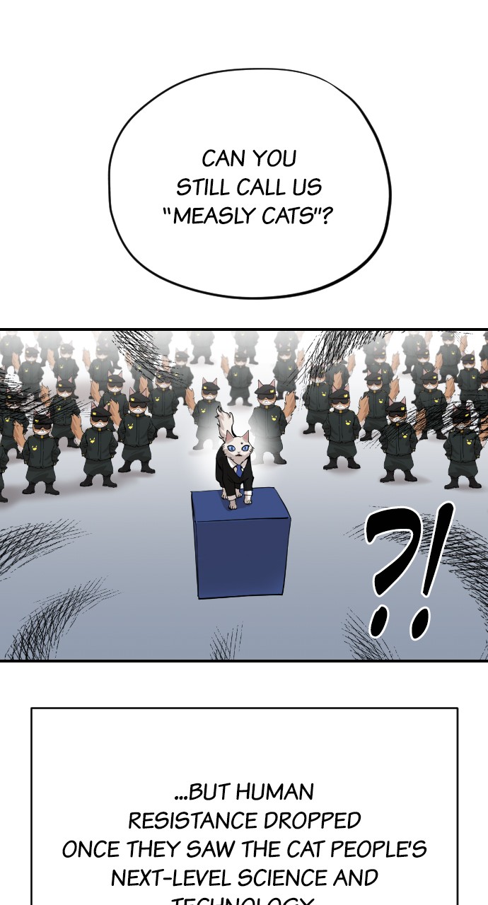 Read Meow Rangers Manga Online