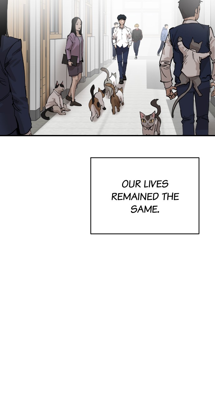 Read Meow Rangers Manga Online