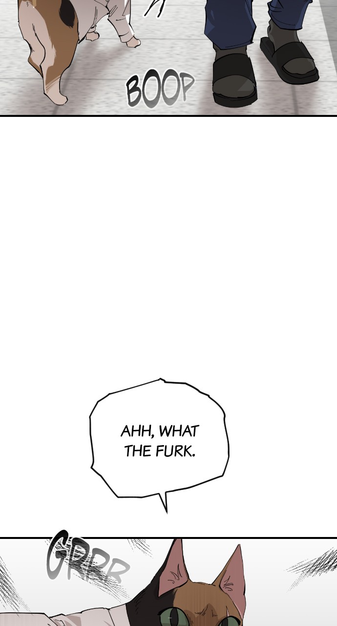 Read Meow Rangers Manga Online