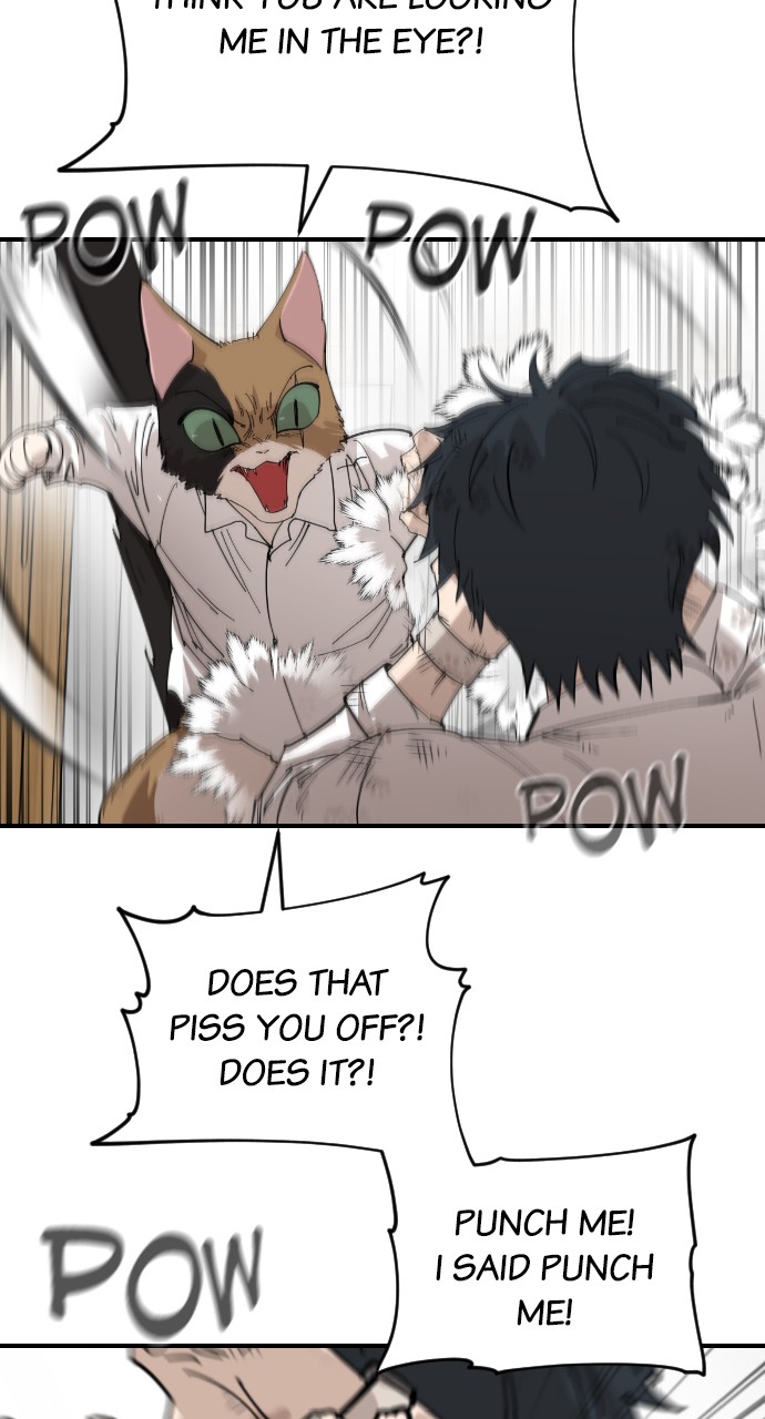 Read Meow Rangers Manga Online