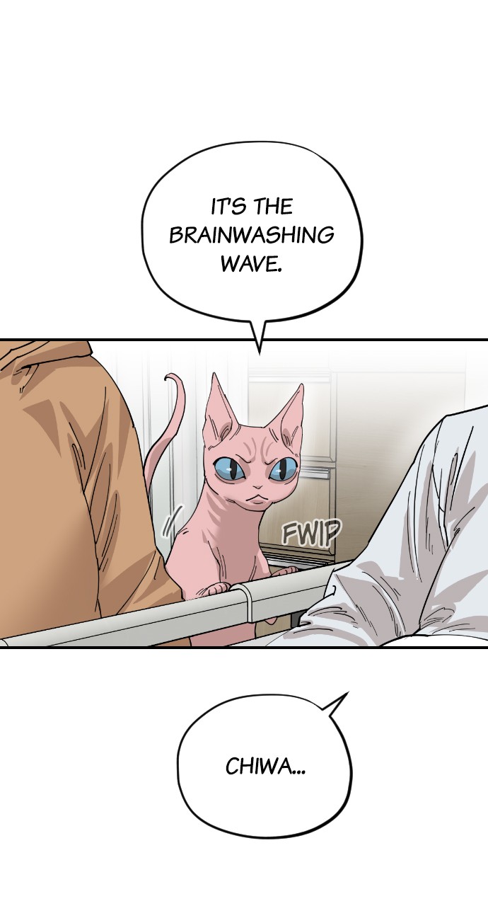 Read Meow Rangers Manga Online