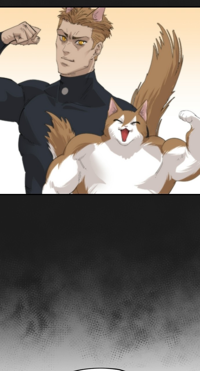 Read Meow Rangers Manga Online