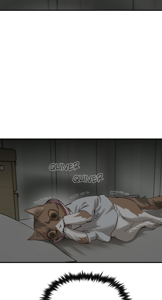 Read Meow Rangers Manga Online