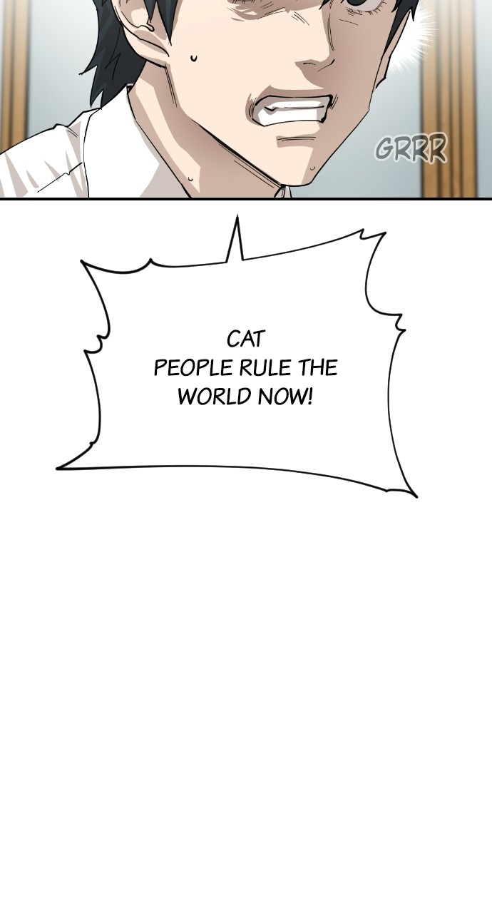 Read Meow Rangers Manga Online