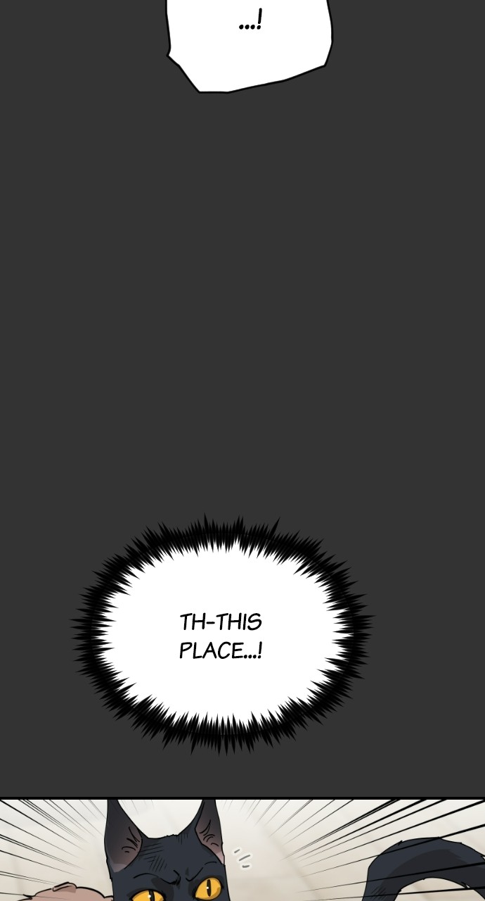Read Meow Rangers Manga Online