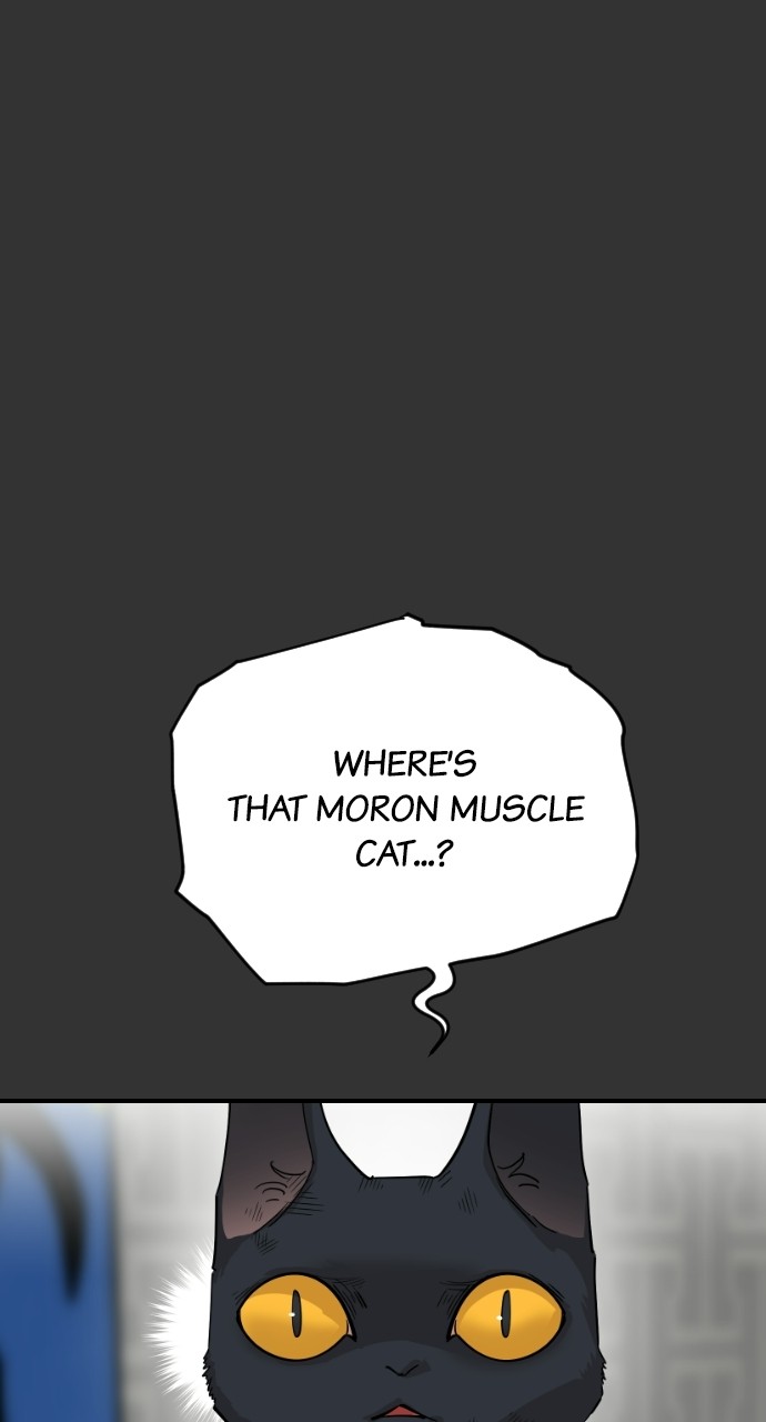 Read Meow Rangers Manga Online