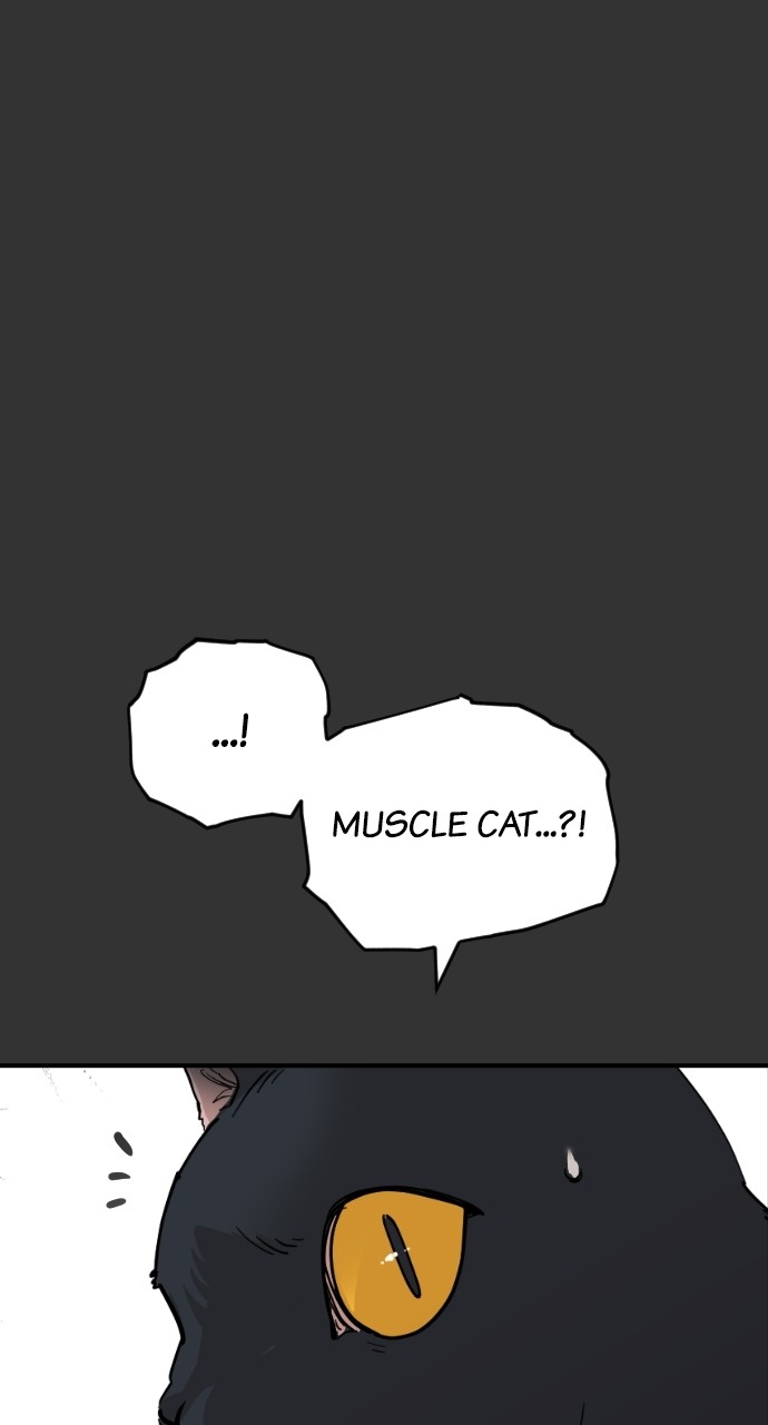 Read Meow Rangers Manga Online