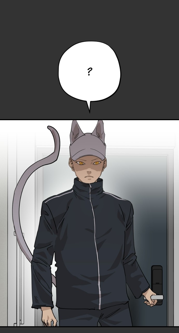 Read Meow Rangers Manga Online