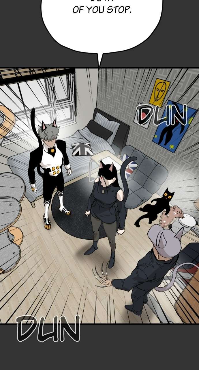 Read Meow Rangers Manga Online