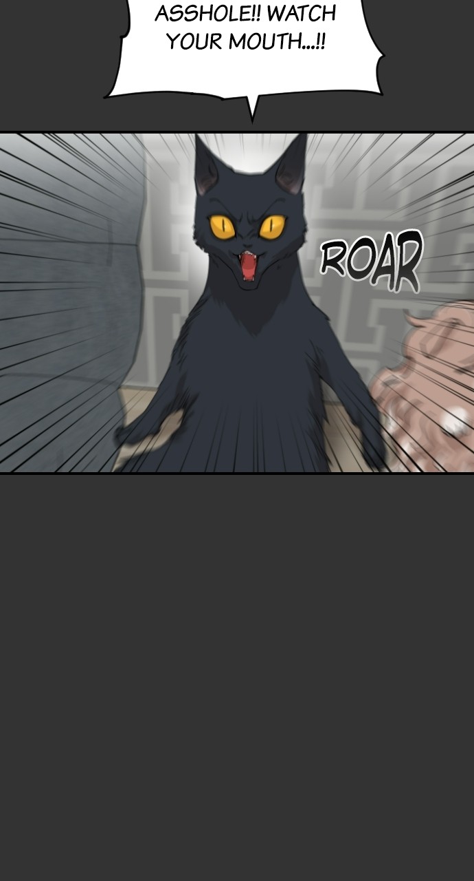 Read Meow Rangers Manga Online