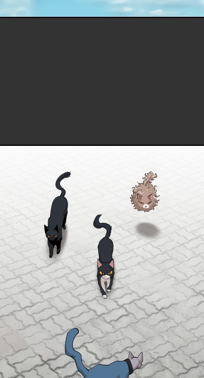Read Meow Rangers Manga Online