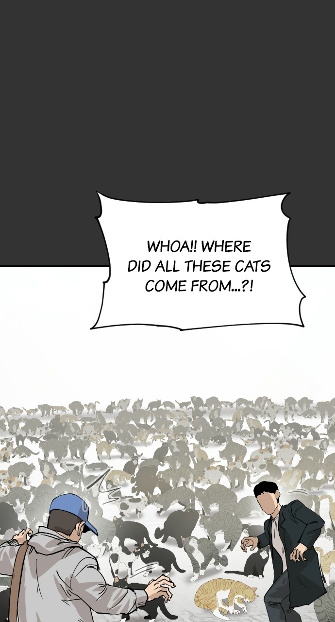 Read Meow Rangers Manga Online