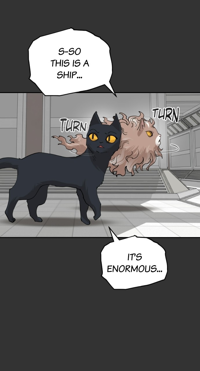 Read Meow Rangers Manga Online