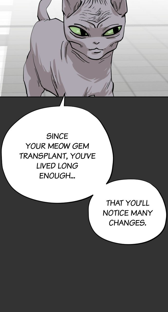Read Meow Rangers Manga Online
