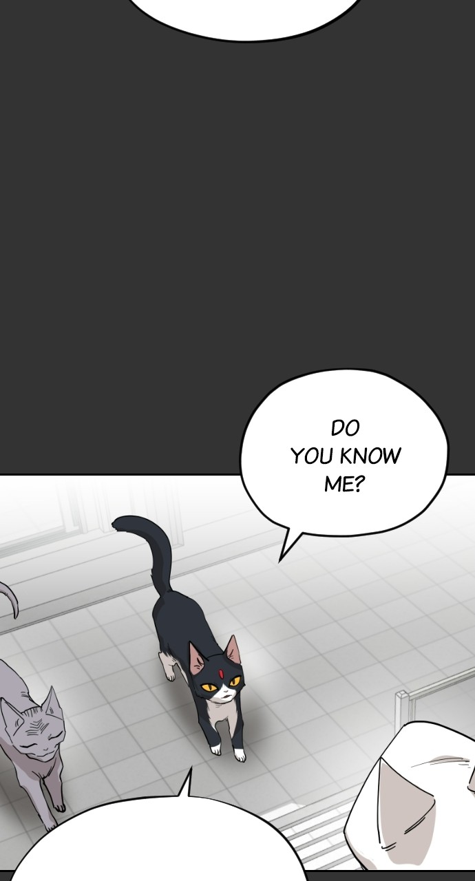 Read Meow Rangers Manga Online