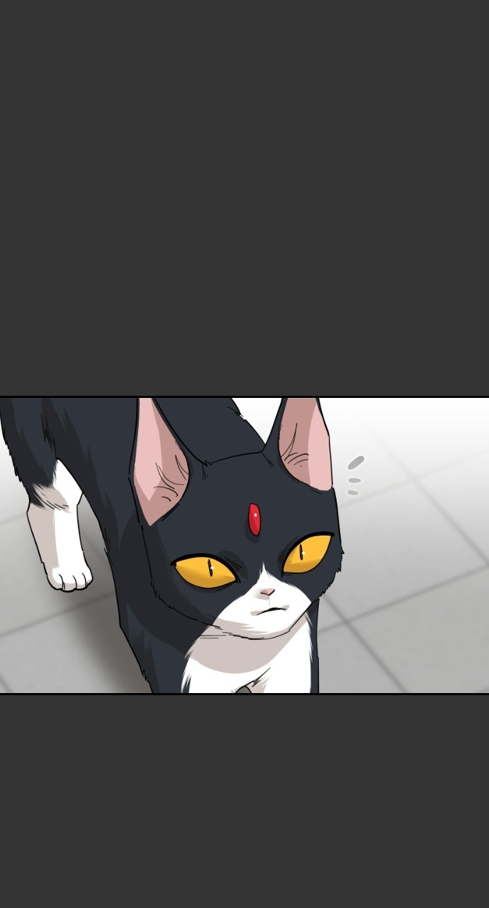 Read Meow Rangers Manga Online