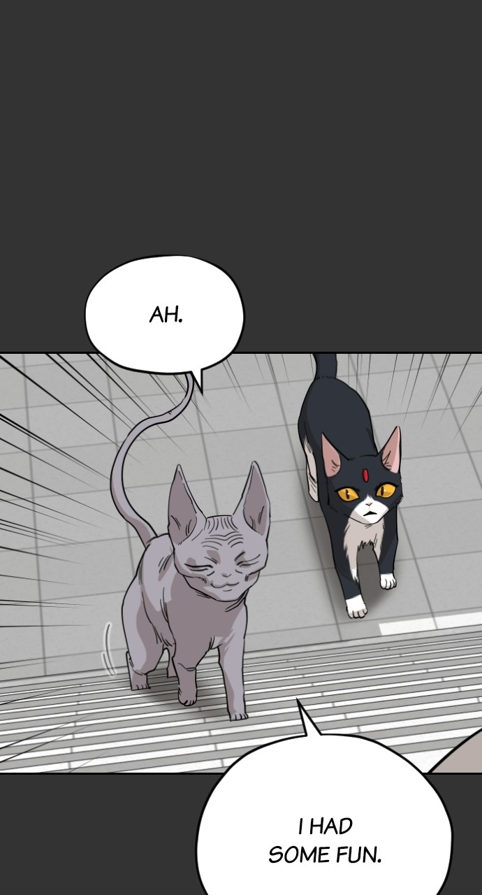 Read Meow Rangers Manga Online