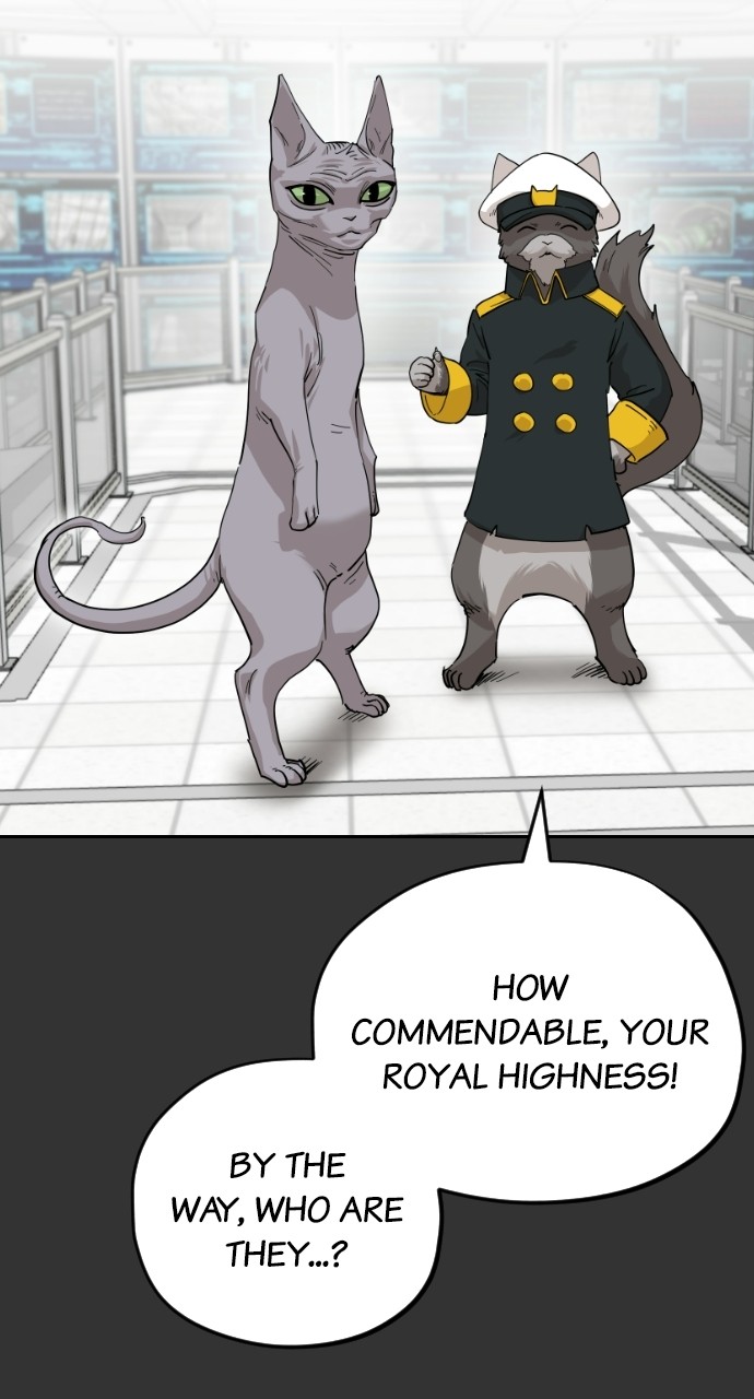 Read Meow Rangers Manga Online