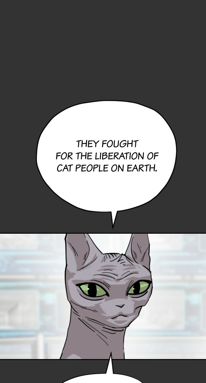 Read Meow Rangers Manga Online