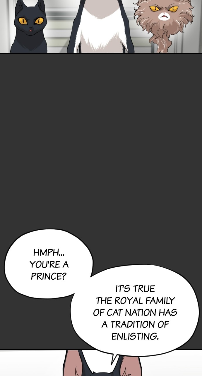 Read Meow Rangers Manga Online