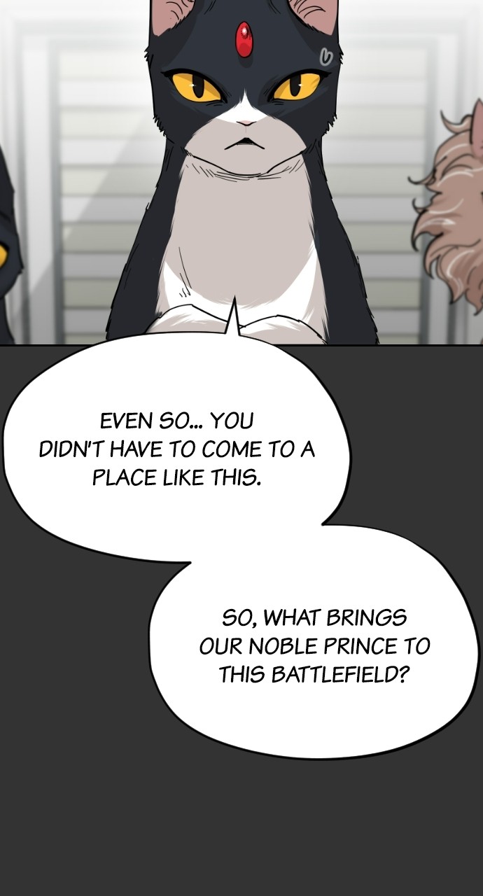 Read Meow Rangers Manga Online