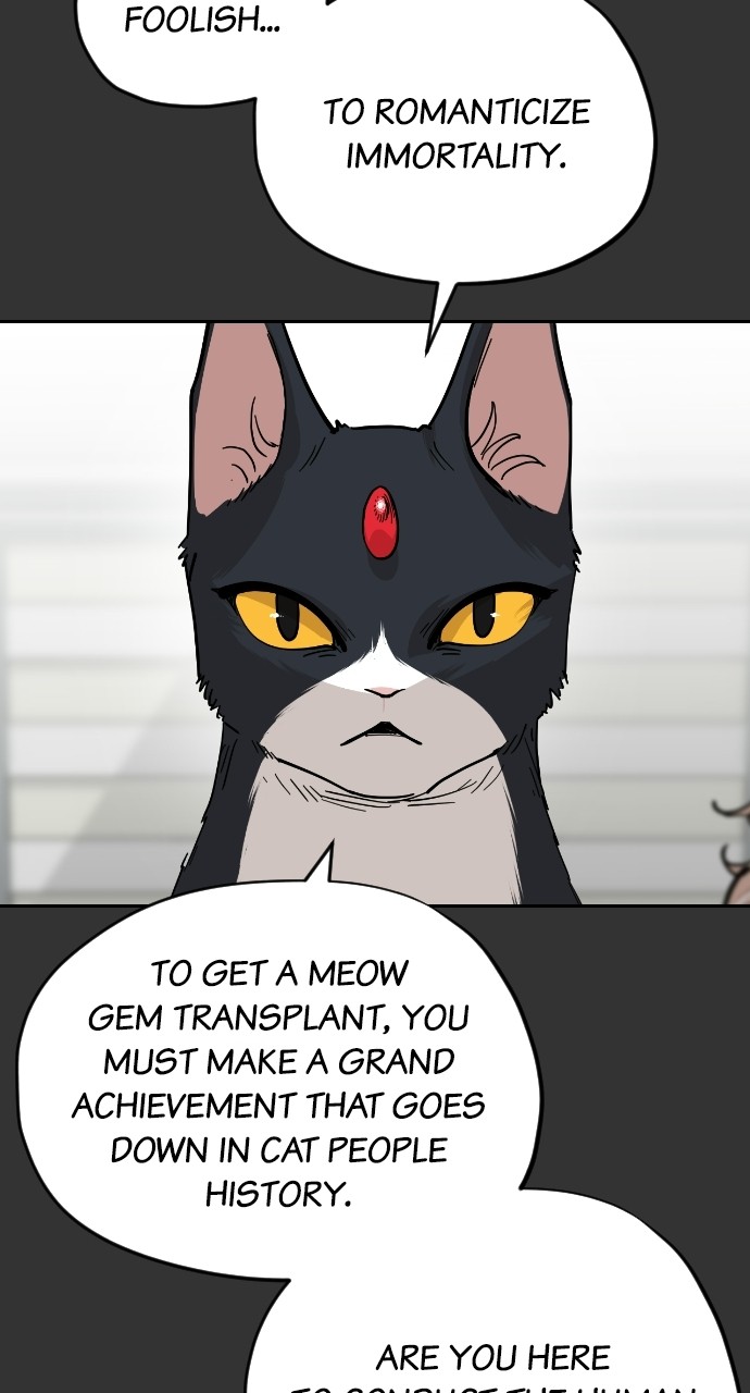 Read Meow Rangers Manga Online
