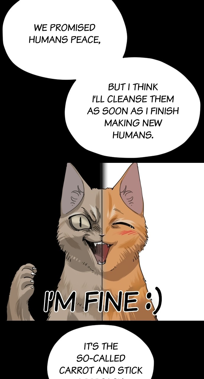 Read Meow Rangers Manga Online